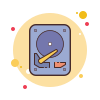 هارد